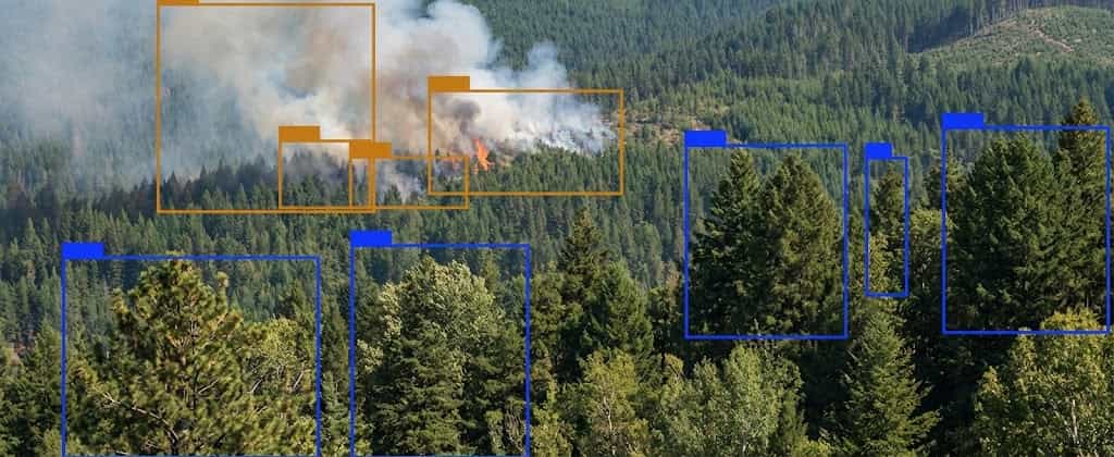 Image Processing Forest